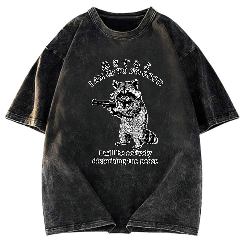 Tokyosol Raccoon Disturbing The Peace Washed T Shirt