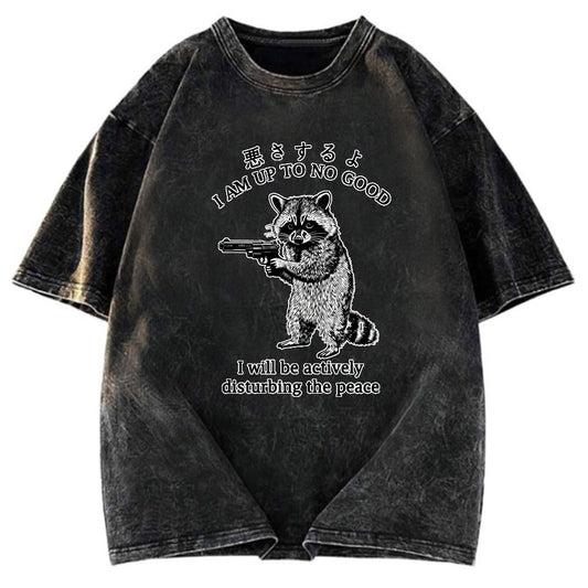 Tokyosol Raccoon Disturbing The Peace Washed T Shirt