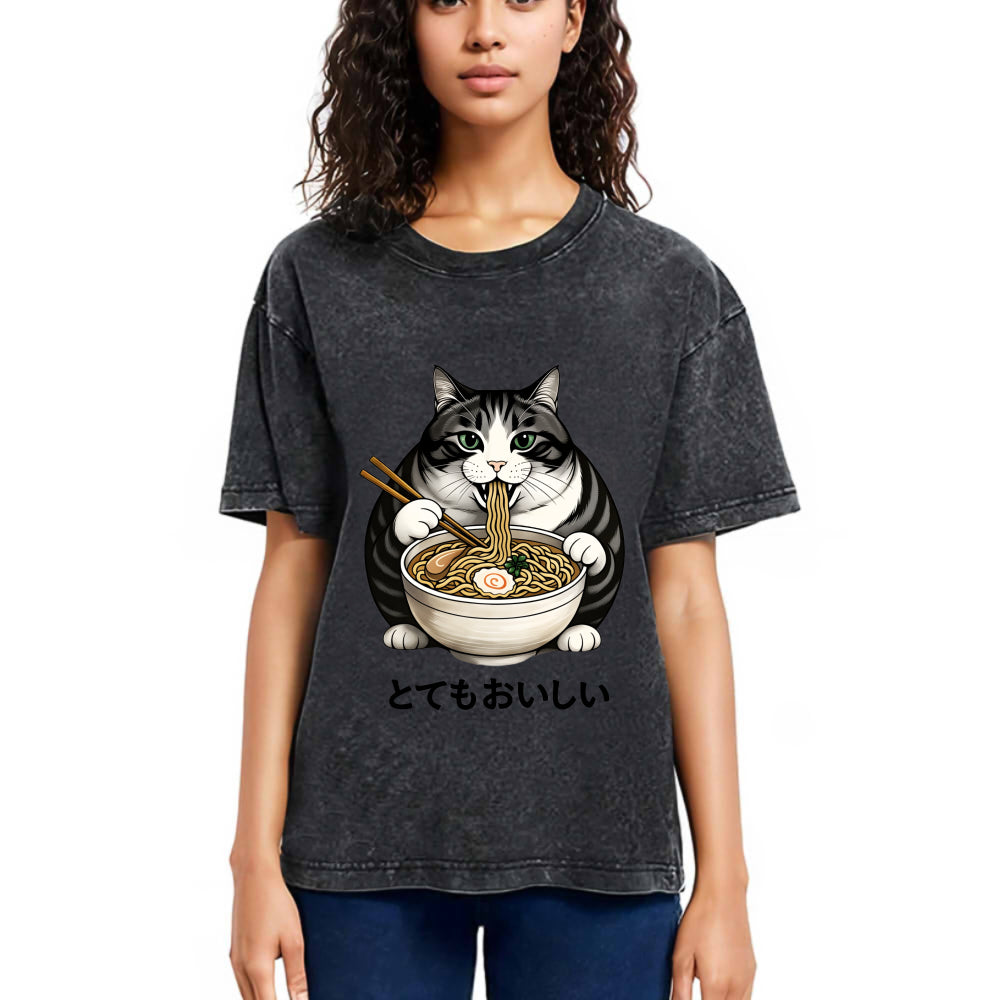 Tokyosol Fat Cat Eating Delicious Ramen Washed T Shirt