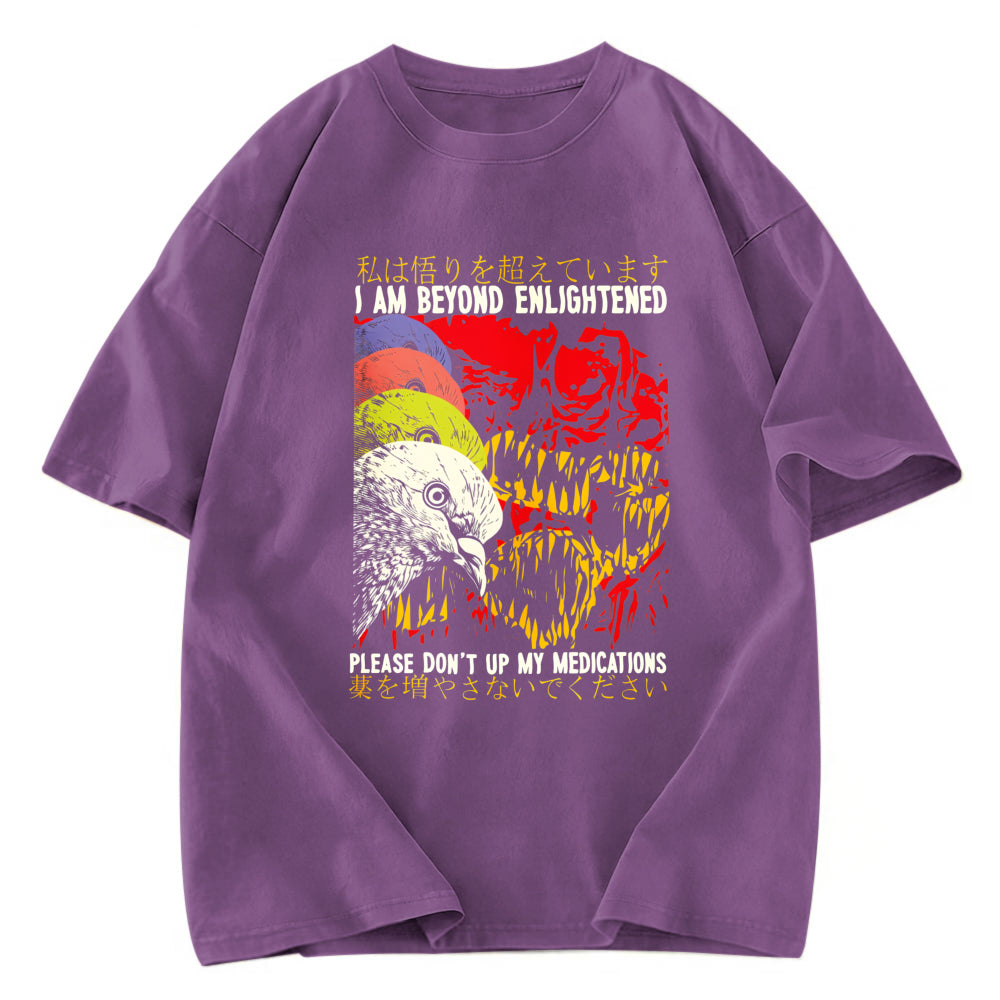 Tokyosol Beyond Enlightened Vintage Pigeon Washed T Shirt
