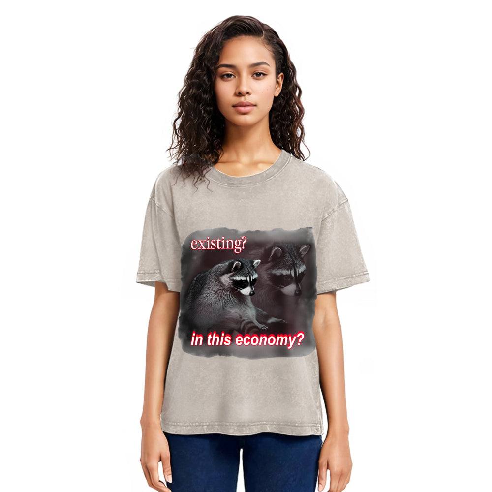 Tokyosol Economy Raccoon Meme Washed T Shirt