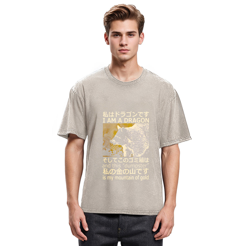 Tokyosol I Am A Dragon And This Dumpster Is My Mountain Of Gold Back Washed T Shirt