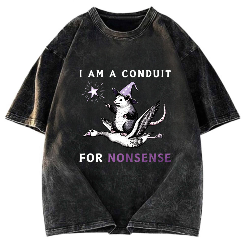 Tokyosol Opossum Riding Flying Goose Washed T Shirt