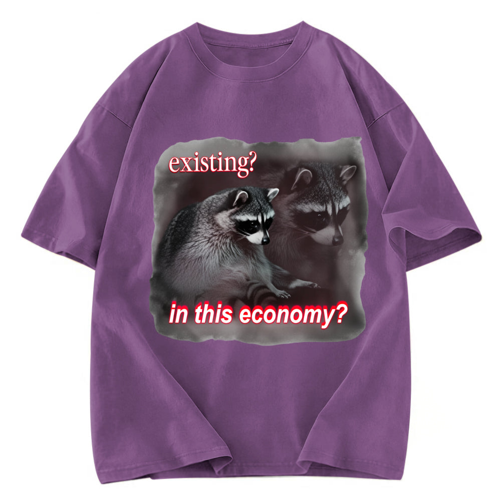 Tokyosol Economy Raccoon Meme Washed T Shirt