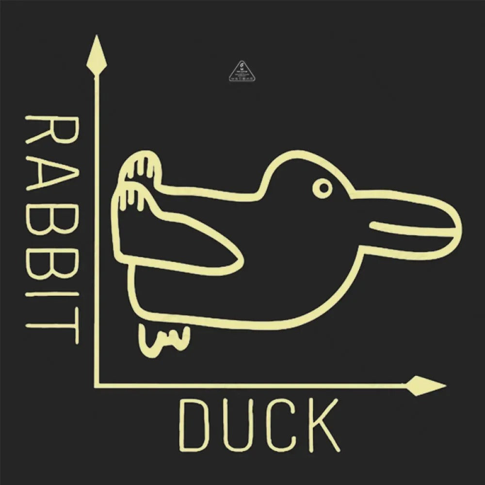 Rabbit or Duck Funny Geek Hoodie