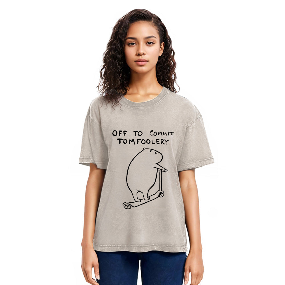 Tokyosol Capybara Is Ready Washed T-Shirt