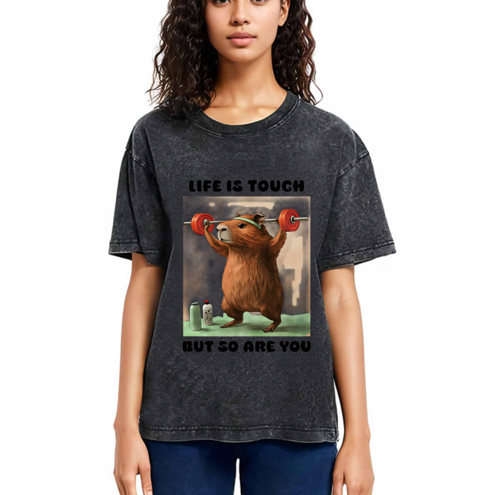 Tokyosol Capybara Lifting Washed T-Shirt