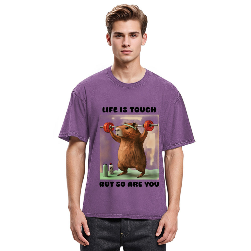 Tokyosol Capybara Lifting Washed T-Shirt
