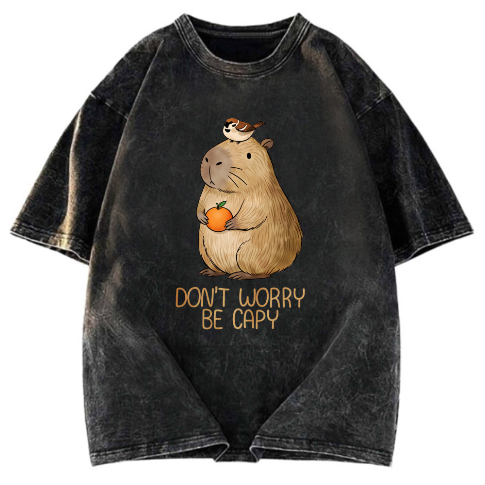 Tokyosol Capybaras Don't Worry Washed T-Shirt