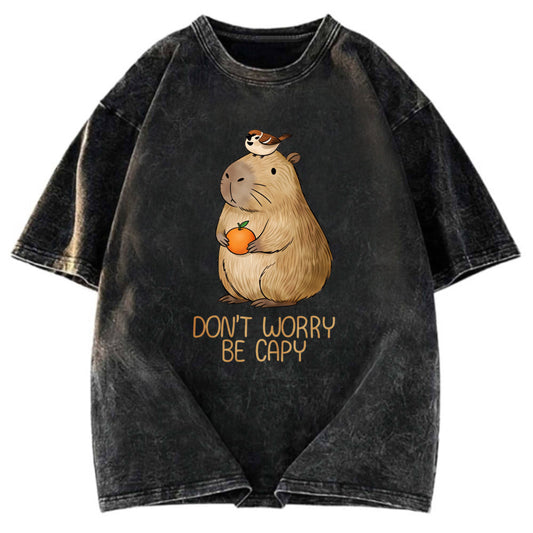 Tokyosol Capybaras Don't Worry Washed T-Shirt