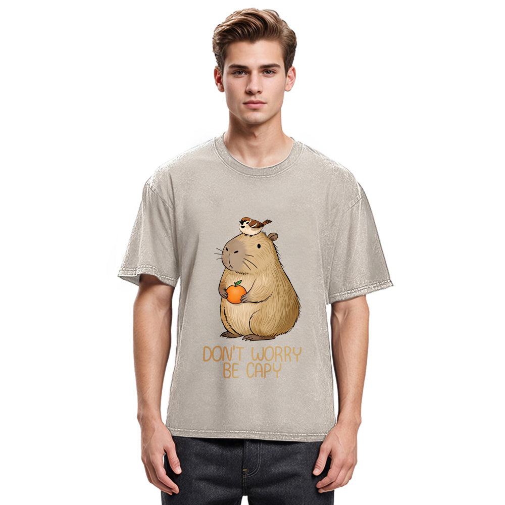 Tokyosol Capybaras Don't Worry Washed T-Shirt