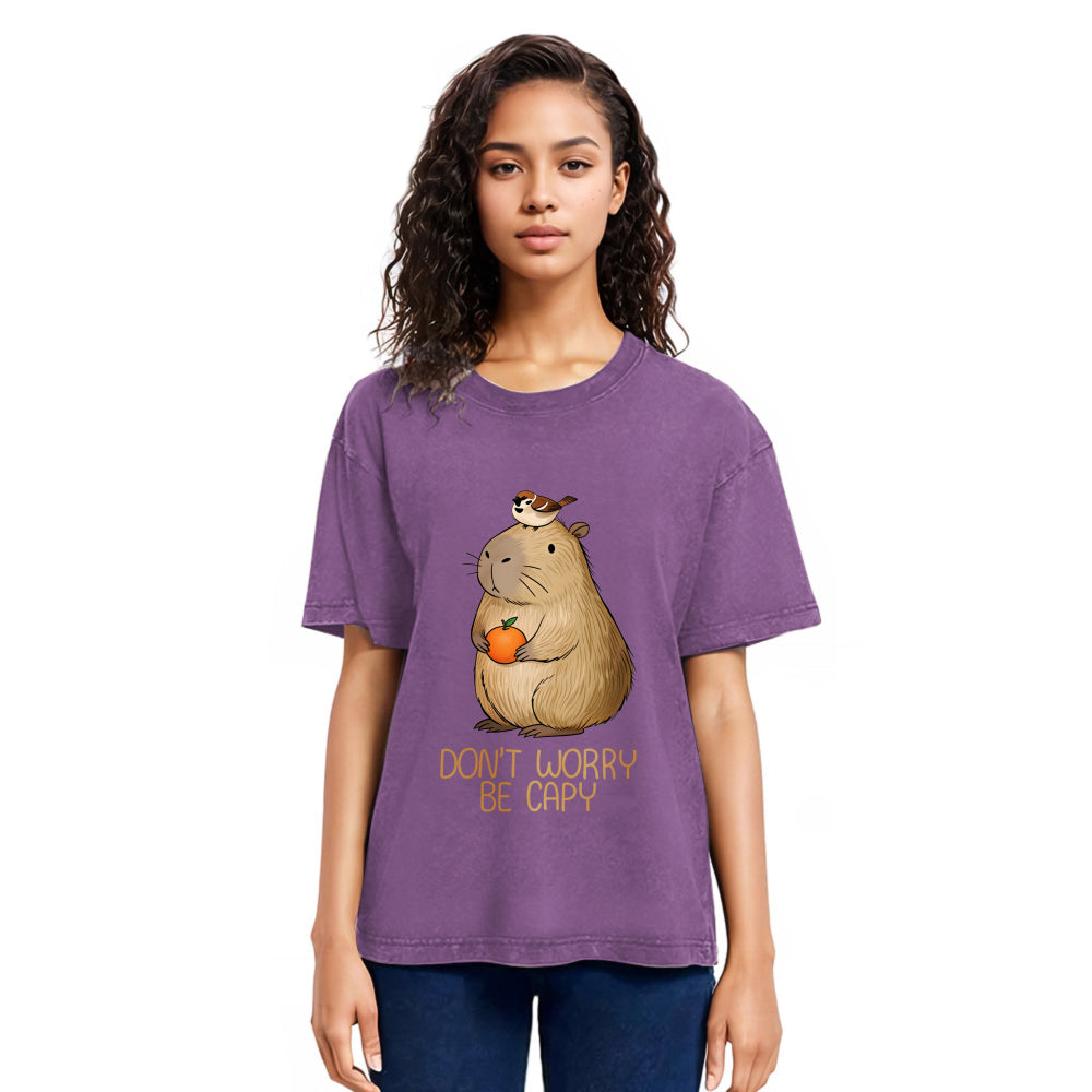 Tokyosol Capybaras Don't Worry Washed T-Shirt