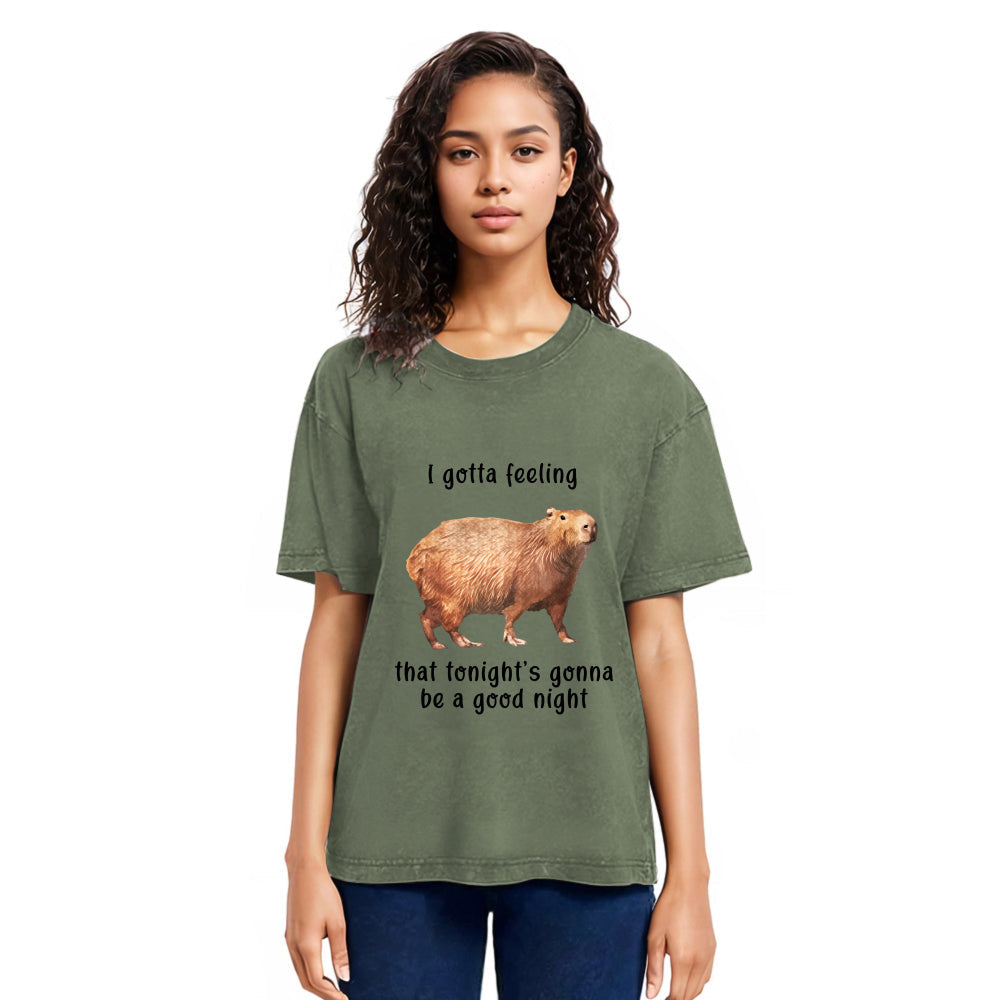 Tokyosol Capybara Gotta Feeling Washed T-Shirt