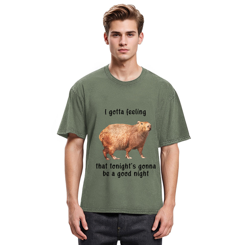 Tokyosol Capybara Gotta Feeling Washed T-Shirt