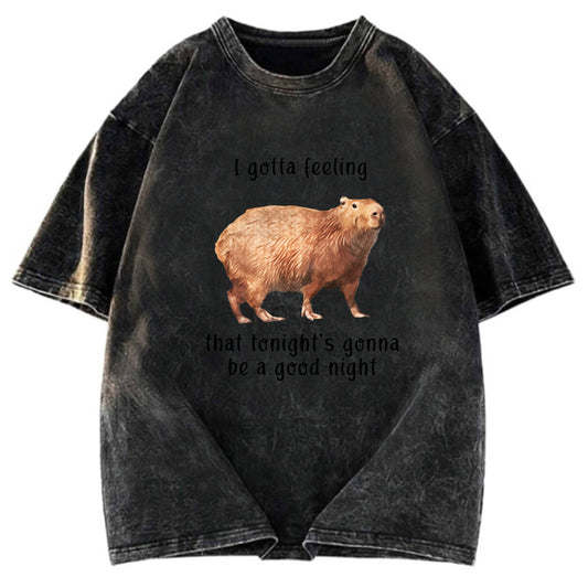 Tokyosol Capybara Gotta Feeling Washed T-Shirt
