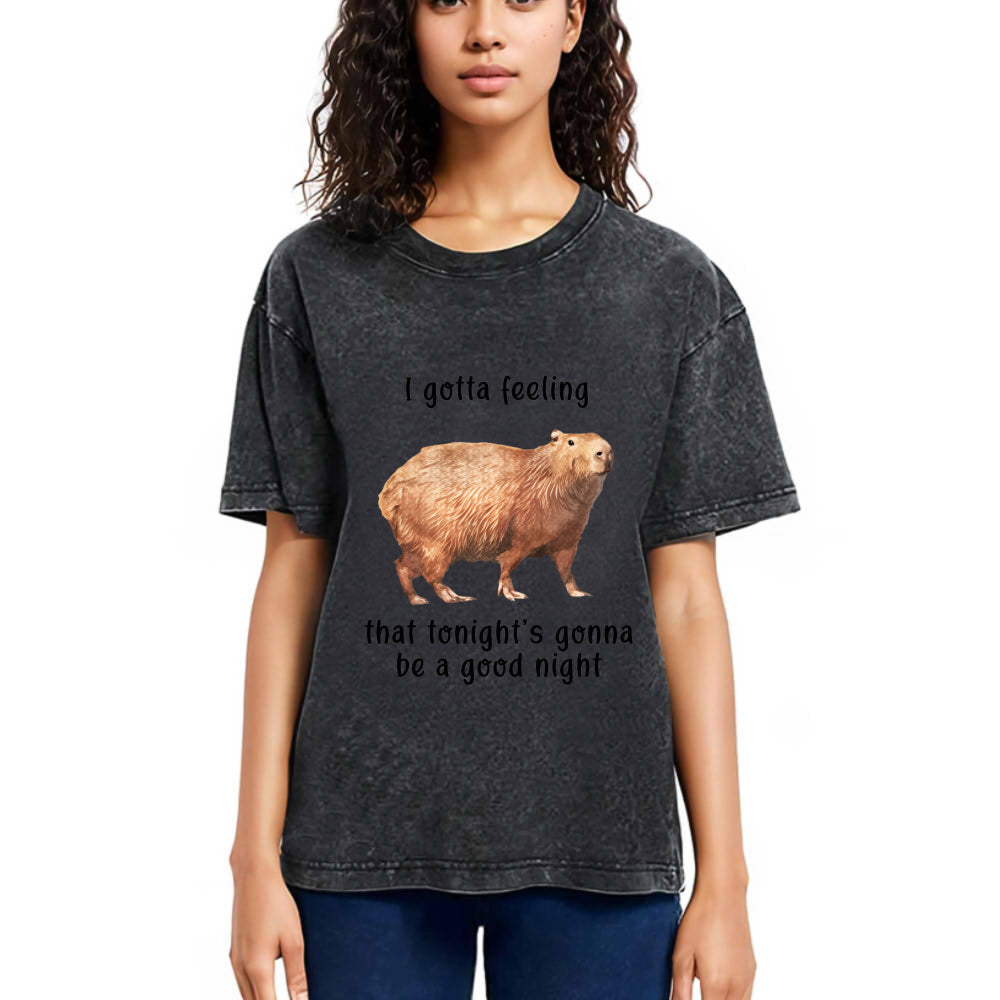 Tokyosol Capybara Gotta Feeling Washed T-Shirt