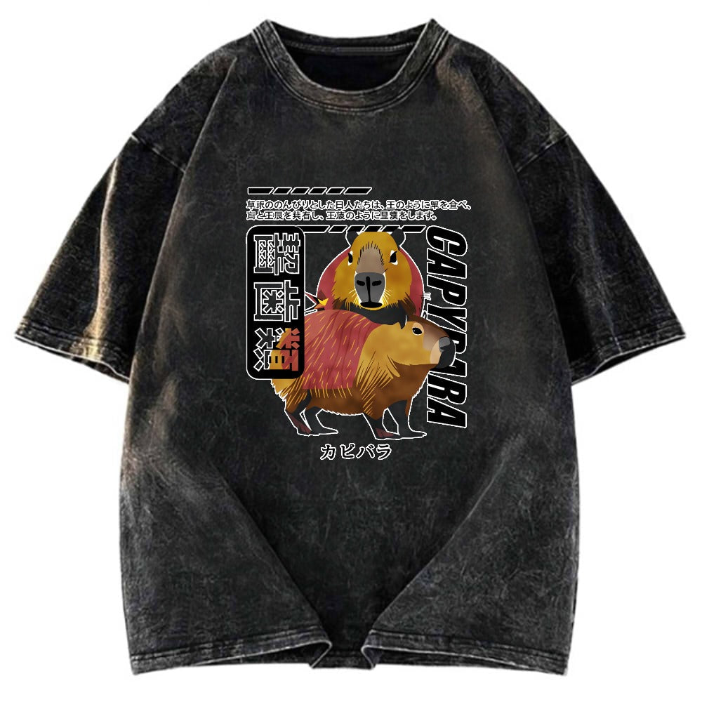 Tokyosol Capybara Japanese Washed T-Shirt