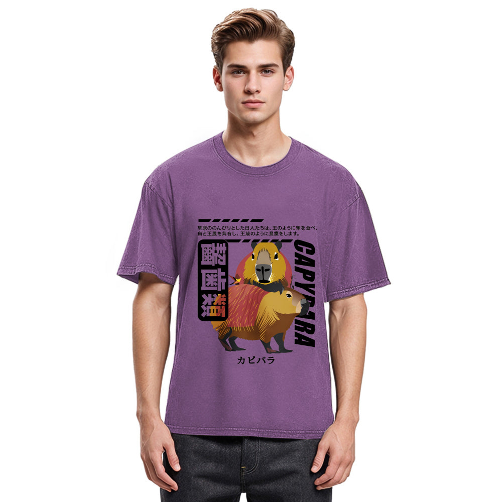Tokyosol Capybara Japanese Washed T-Shirt