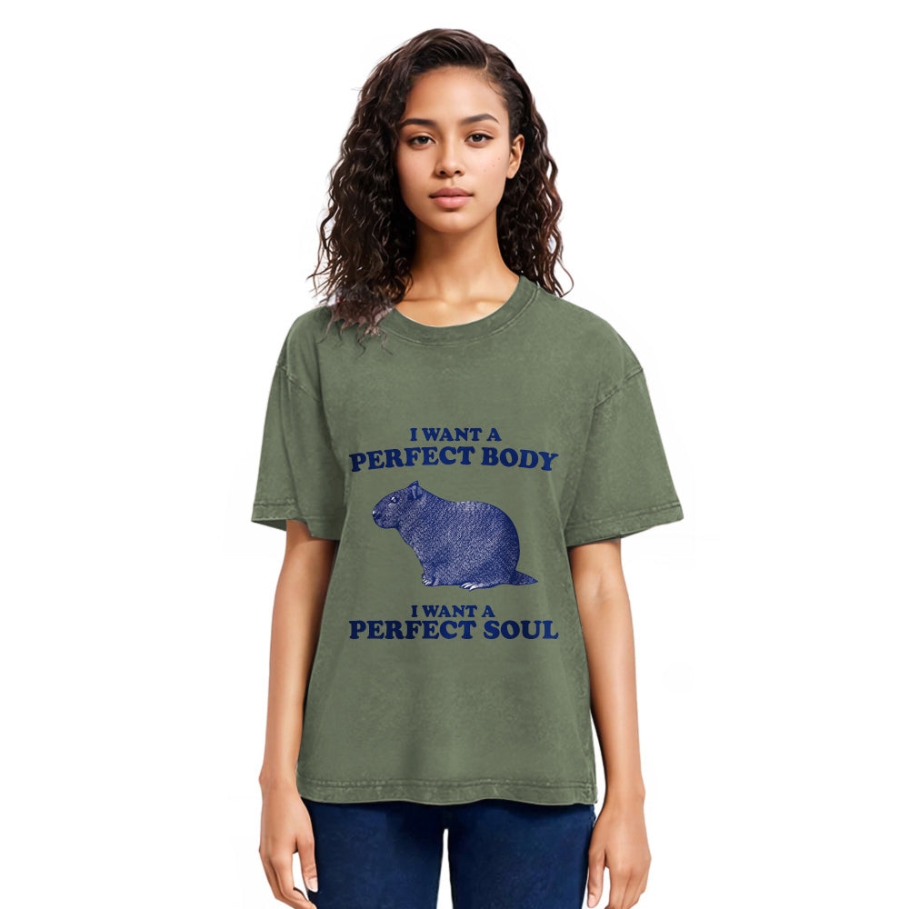 Tokyosol Capybara I Want A Perfect Washed T-Shirt