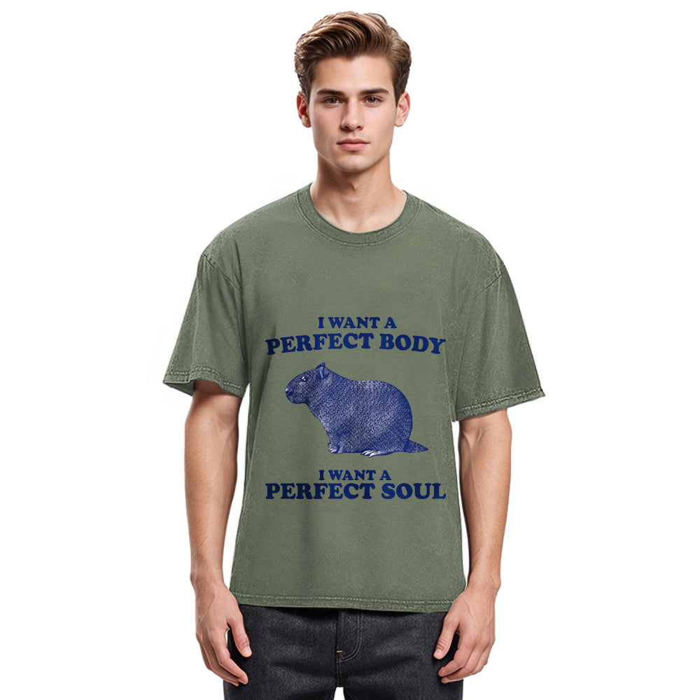 Tokyosol Capybara I Want A Perfect Washed T-Shirt