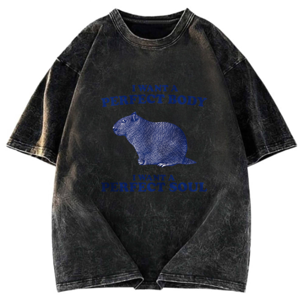 Tokyosol Capybara I Want A Perfect Washed T-Shirt
