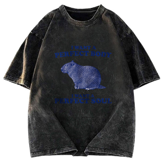 Tokyosol Capybara I Want A Perfect Washed T-Shirt