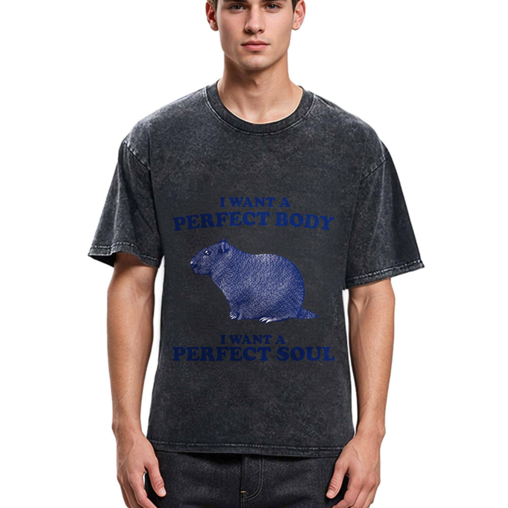 Tokyosol Capybara I Want A Perfect Washed T-Shirt