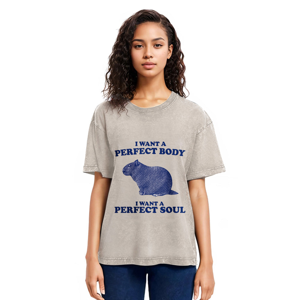 Tokyosol Capybara I Want A Perfect Washed T-Shirt