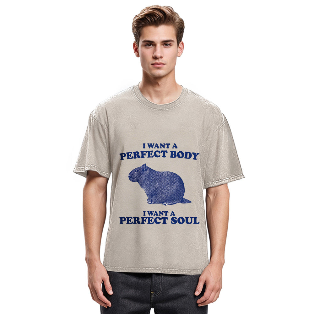 Tokyosol Capybara I Want A Perfect Washed T-Shirt