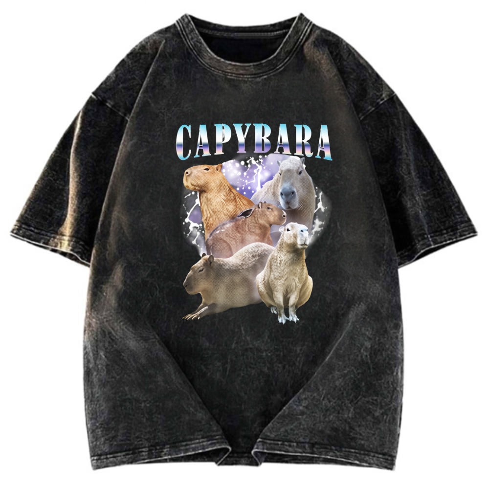 Tokyosol Vintage Capybara Washed T-Shirt