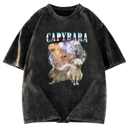 Tokyosol Vintage Capybara Washed T-Shirt