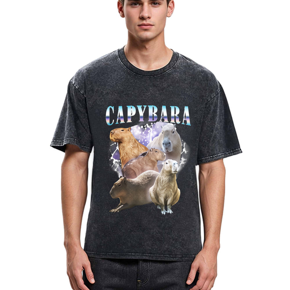 Tokyosol Vintage Capybara Washed T-Shirt