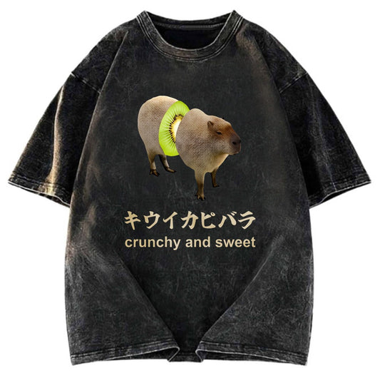 Tokyosol Kiwi Capybara Funny Meme Washed T-Shirt