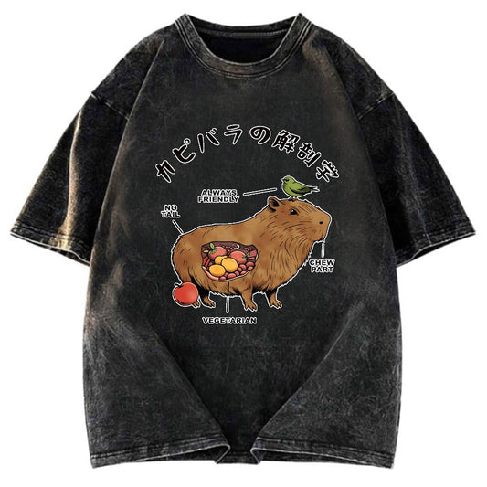 Tokyosol Capybara Anatomy Washed T-Shirt