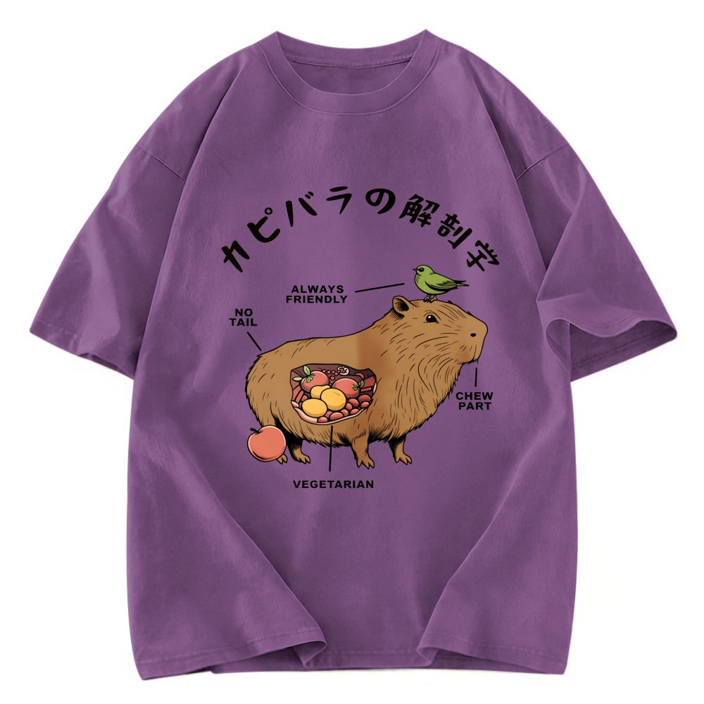 Tokyosol Capybara Anatomy Washed T-Shirt