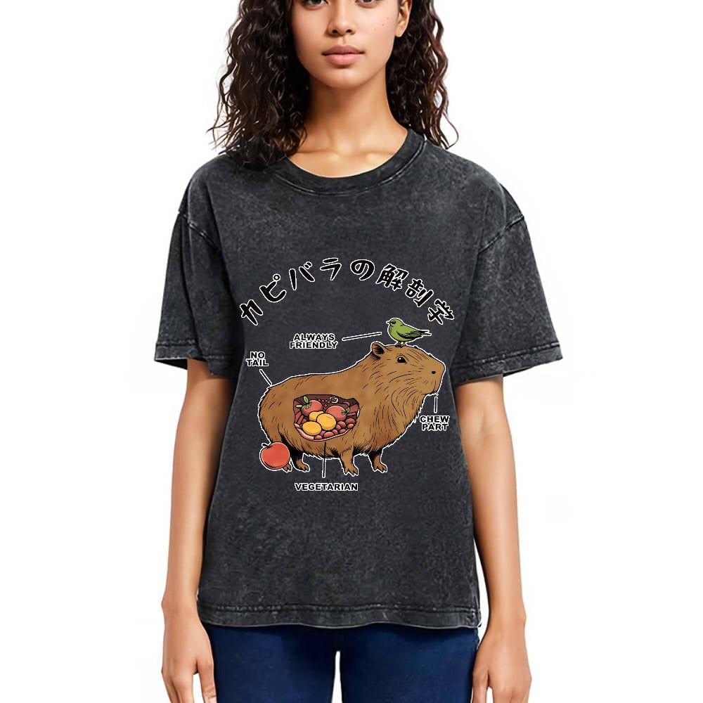 Tokyosol Capybara Anatomy Washed T-Shirt