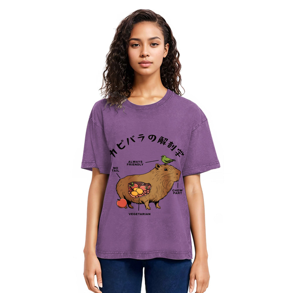 Tokyosol Capybara Anatomy Washed T-Shirt