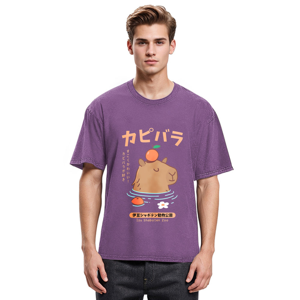Tokyosol Capybara Soaking In Hot Springs Washed T-Shirt