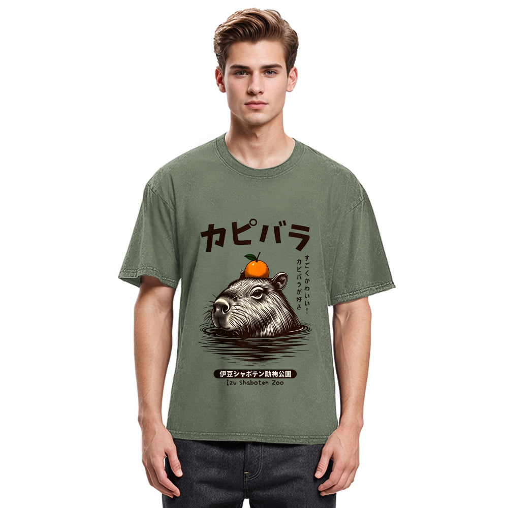 Tokyosol Capybara Hot Spring Washed T-Shirt
