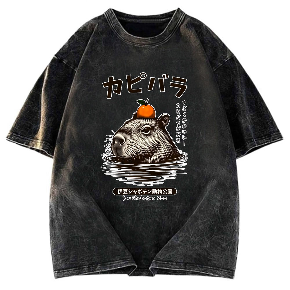 Tokyosol Capybara Hot Spring Washed T-Shirt