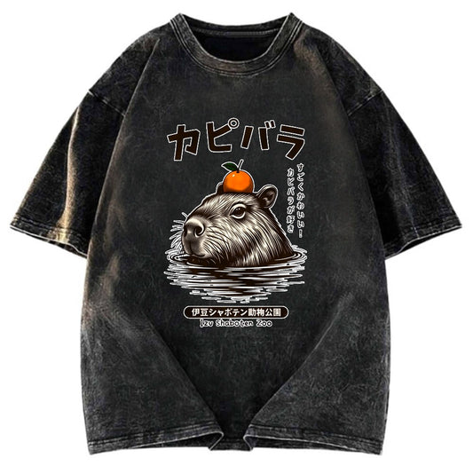 Tokyosol Capybara Hot Spring Washed T-Shirt
