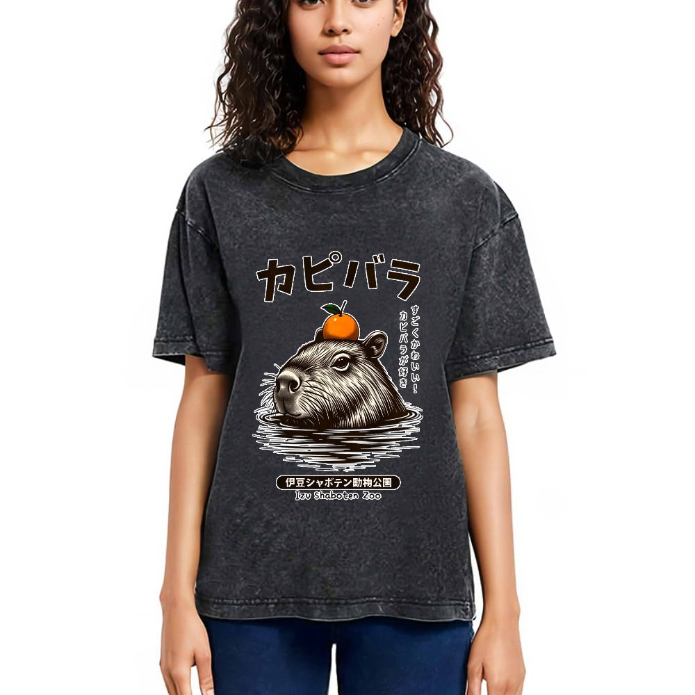 Tokyosol Capybara Hot Spring Washed T-Shirt