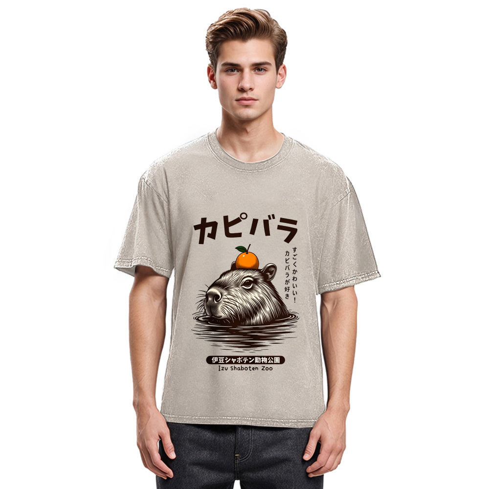 Tokyosol Capybara Hot Spring Washed T-Shirt