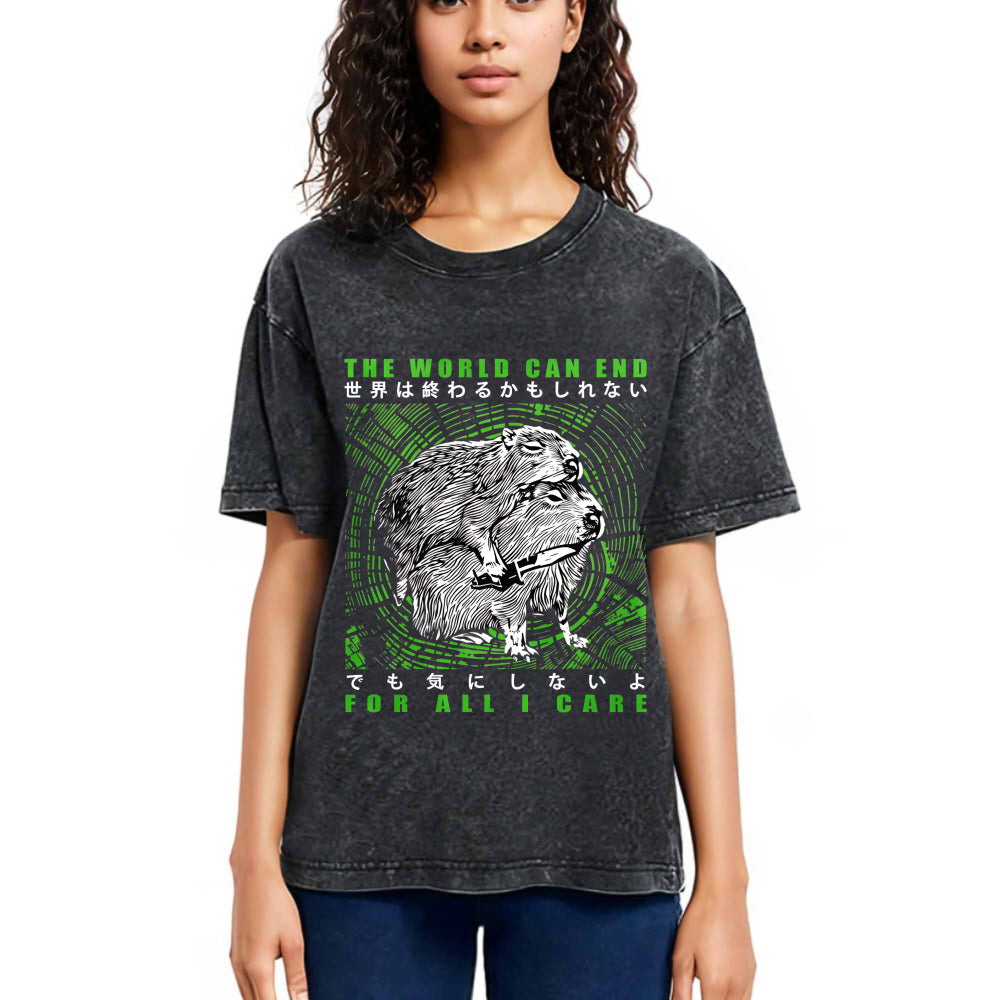 Tokyosol World Can End For All I Care Washed T-Shirt