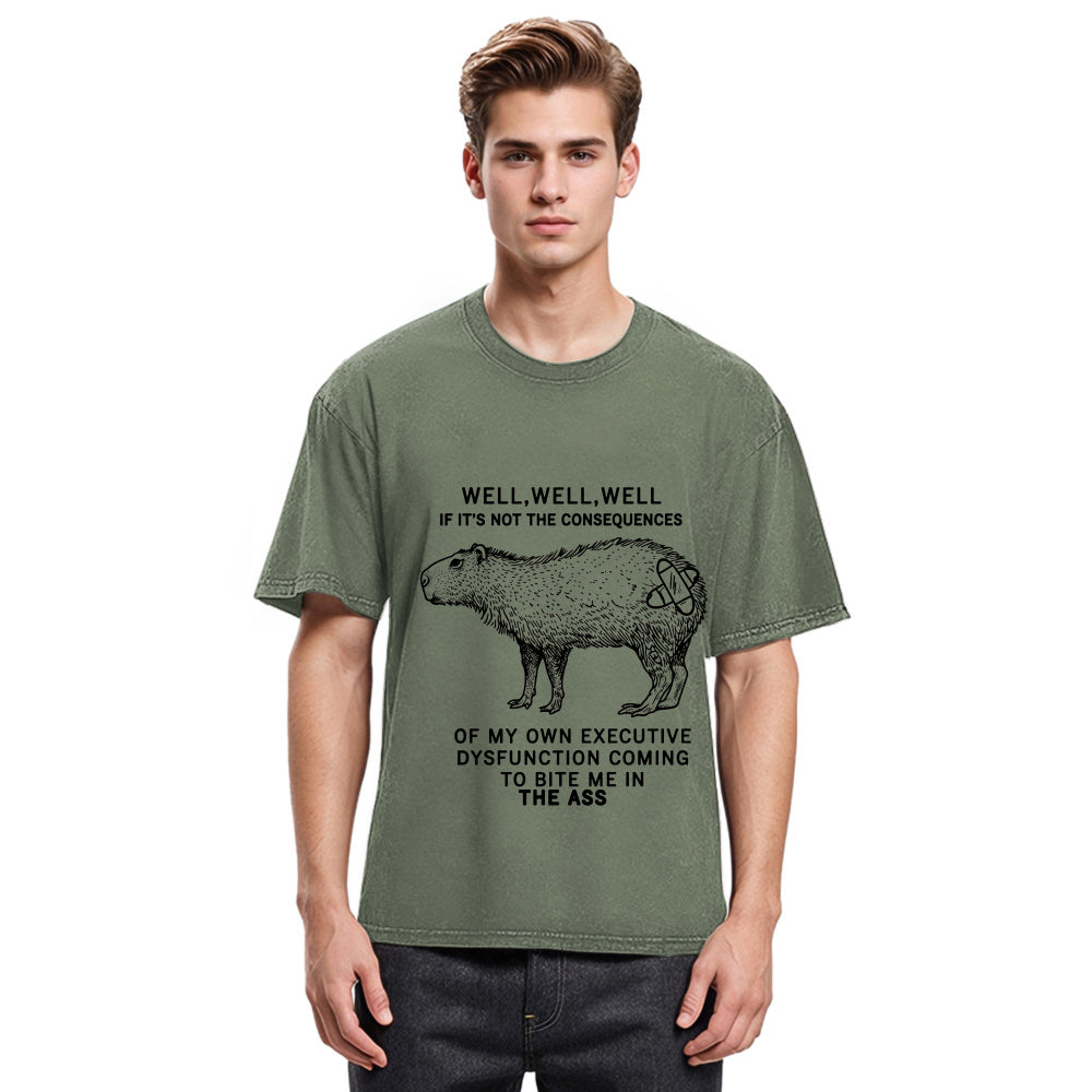 Tokyosol Stupid Capybara Washed T-Shirt