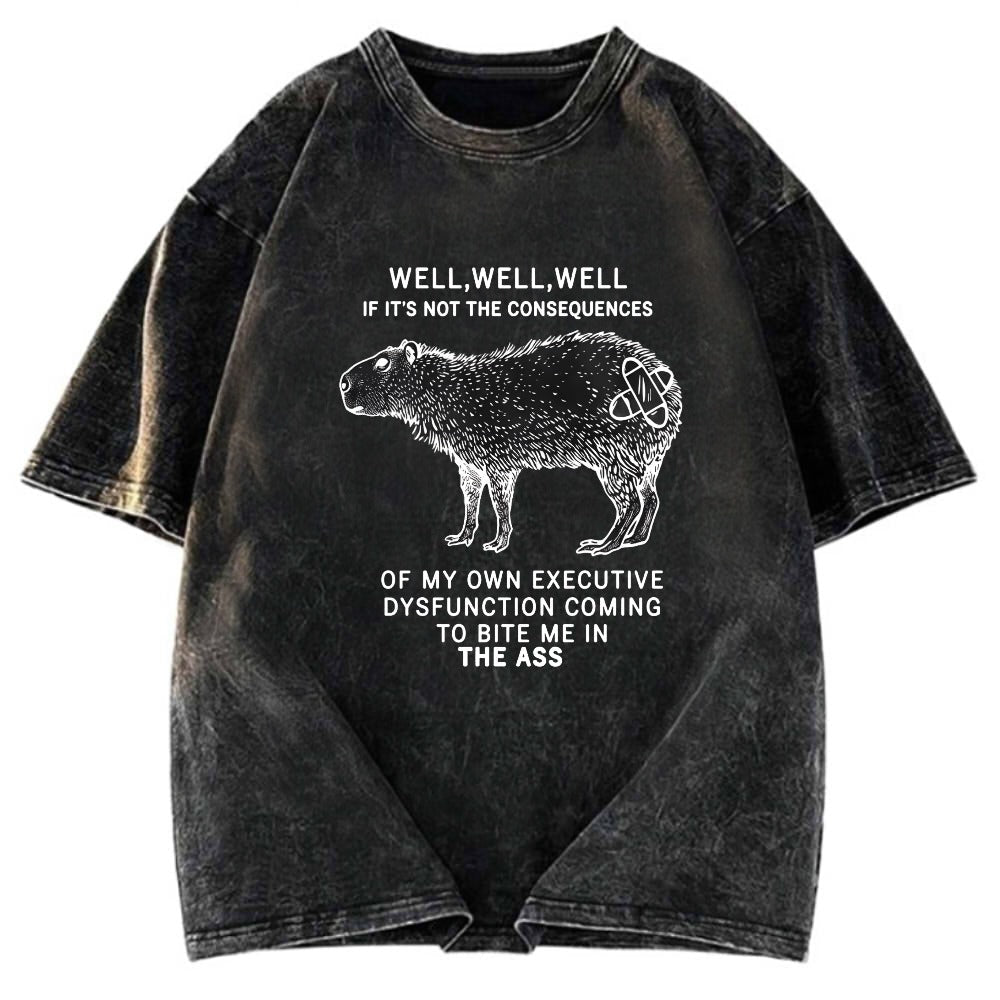Tokyosol Stupid Capybara Washed T-Shirt