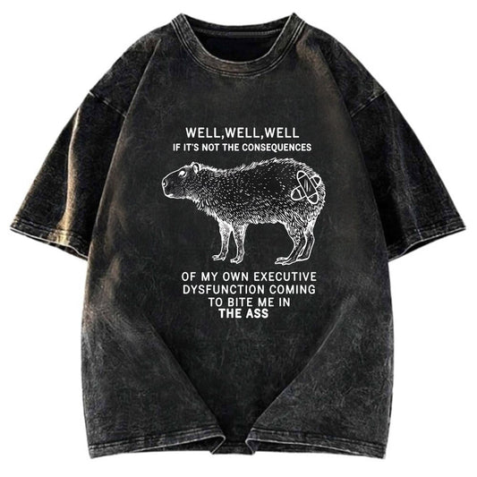 Tokyosol Stupid Capybara Washed T-Shirt