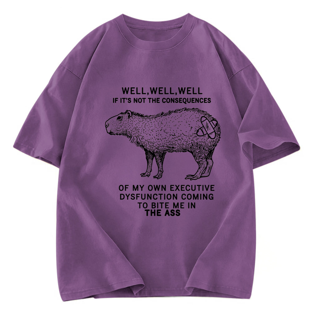 Tokyosol Stupid Capybara Washed T-Shirt