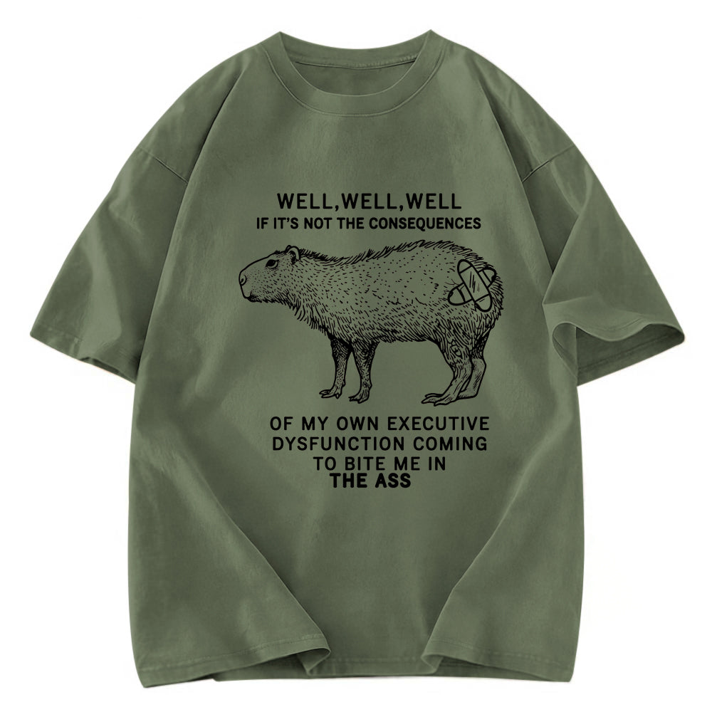 Tokyosol Stupid Capybara Washed T-Shirt