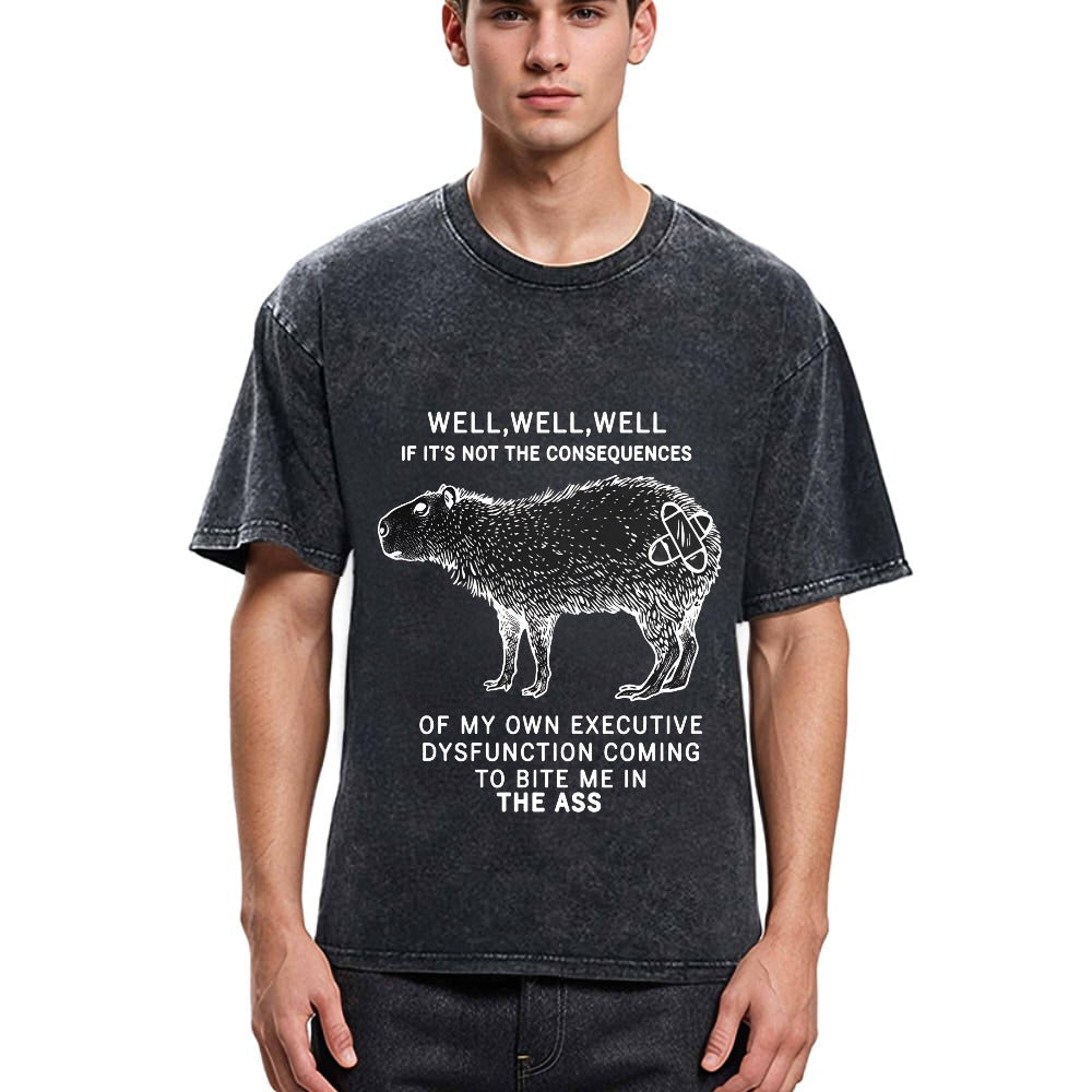 Tokyosol Stupid Capybara Washed T-Shirt